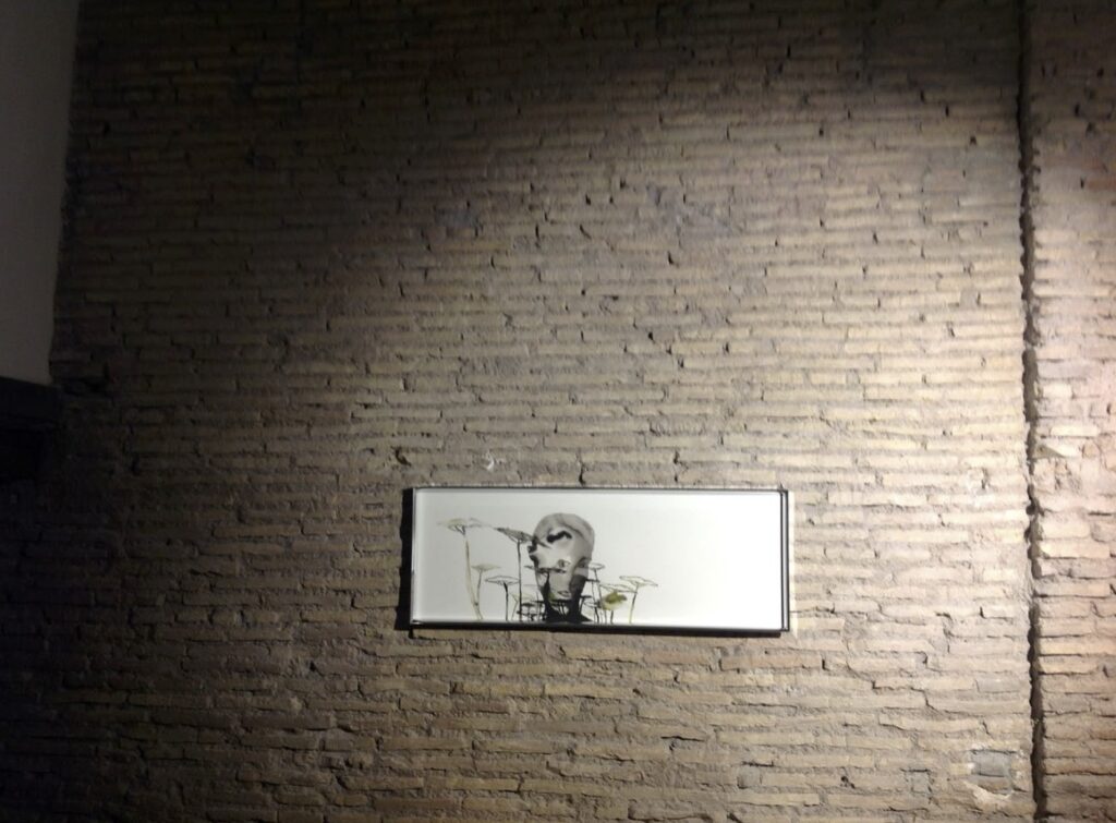 le opere di Marco Puca